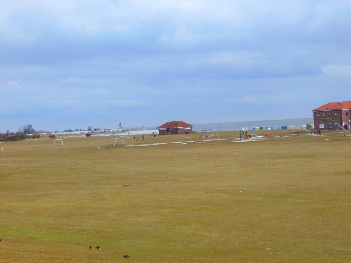 Nordseeinsel هوروميرسيال المظهر الخارجي الصورة